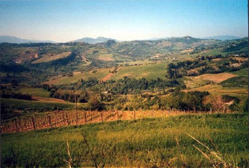 Panorama-Sogliano