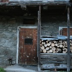 Sauris