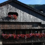 Sauris (3)