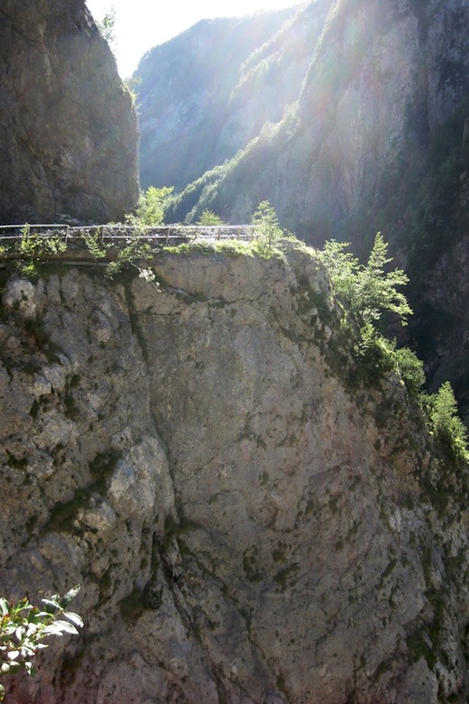 Alpinradler Rennrad Tour Friaul Venetien Veneto Karnien Sauris