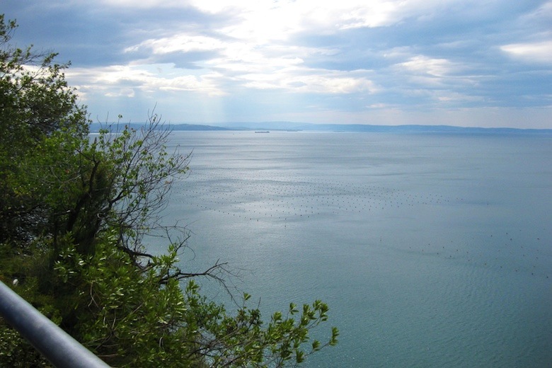 Alpinradler Rennrad Tour Friaul Venetien Veneto Strada Costiera Golfo Trieste