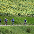 Im Vercors