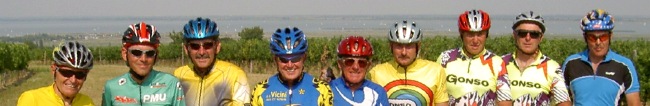 Alpinradler, Rennrad, Tour, Neusiedler See