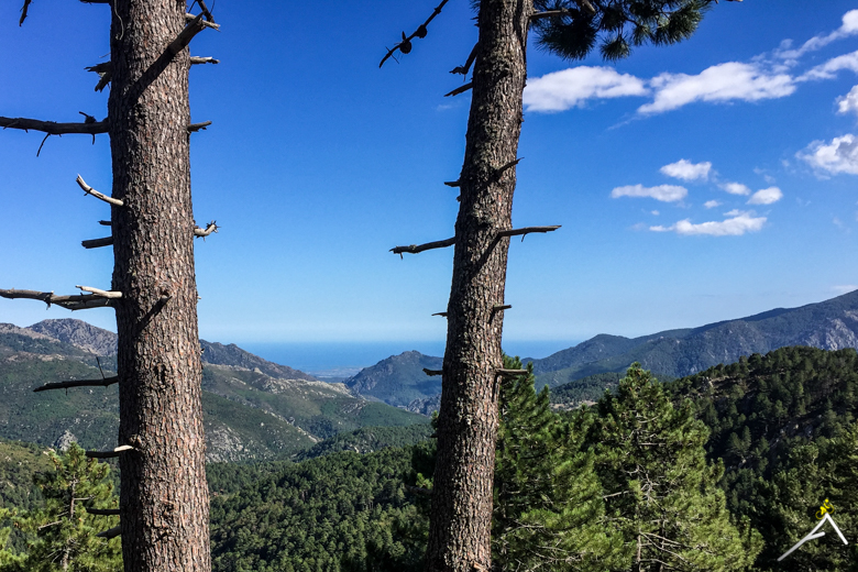 Tour Alpin 2017, Korsika, Corse,  Rennrad, Velo, Cyclisme, Alpen, Alpinradler, Col de Sorba