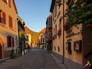 Alpinradler, Rennrad, Tour Alpin, Elsass, Alsace, Niedermoschwir