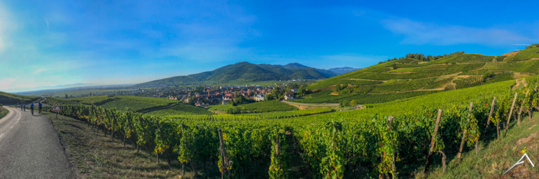 Tour Alpin 2018, Elsass, Alpinradler, Rennrad, tour, Velo, Turckheim